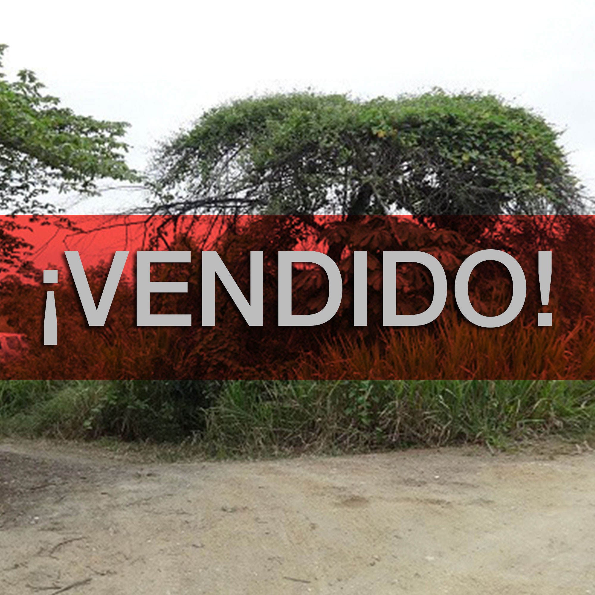 Concluido