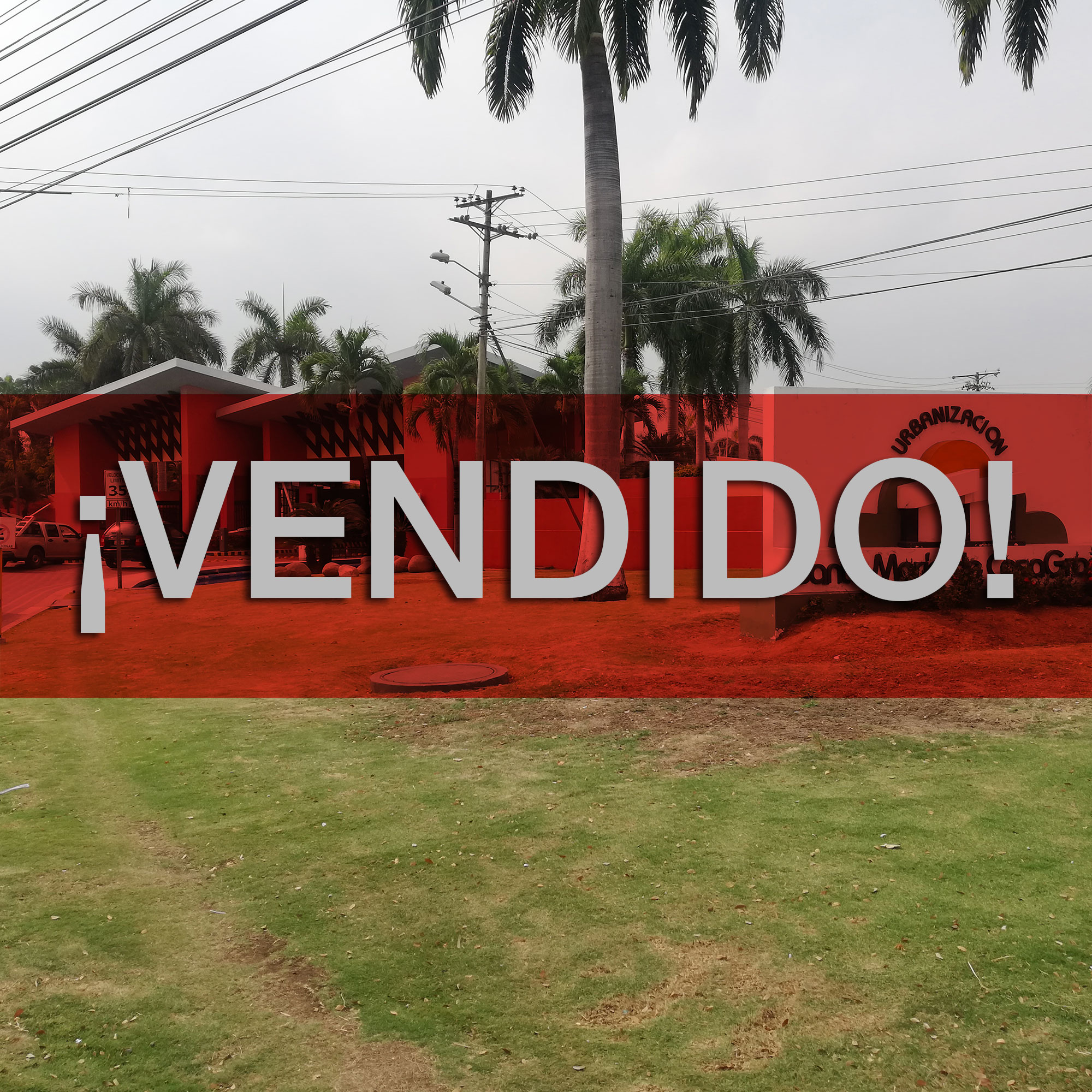 Concluido