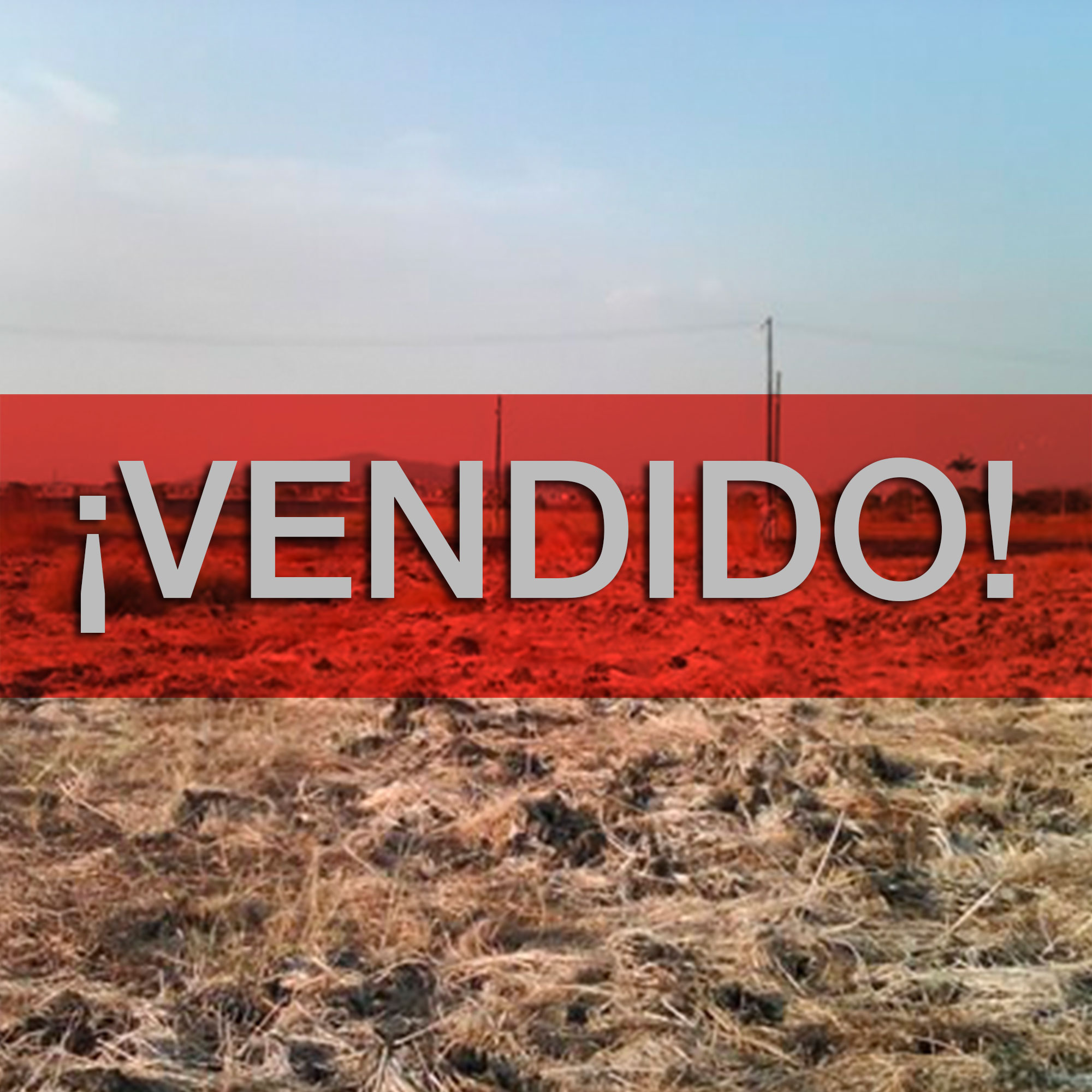 Concluido