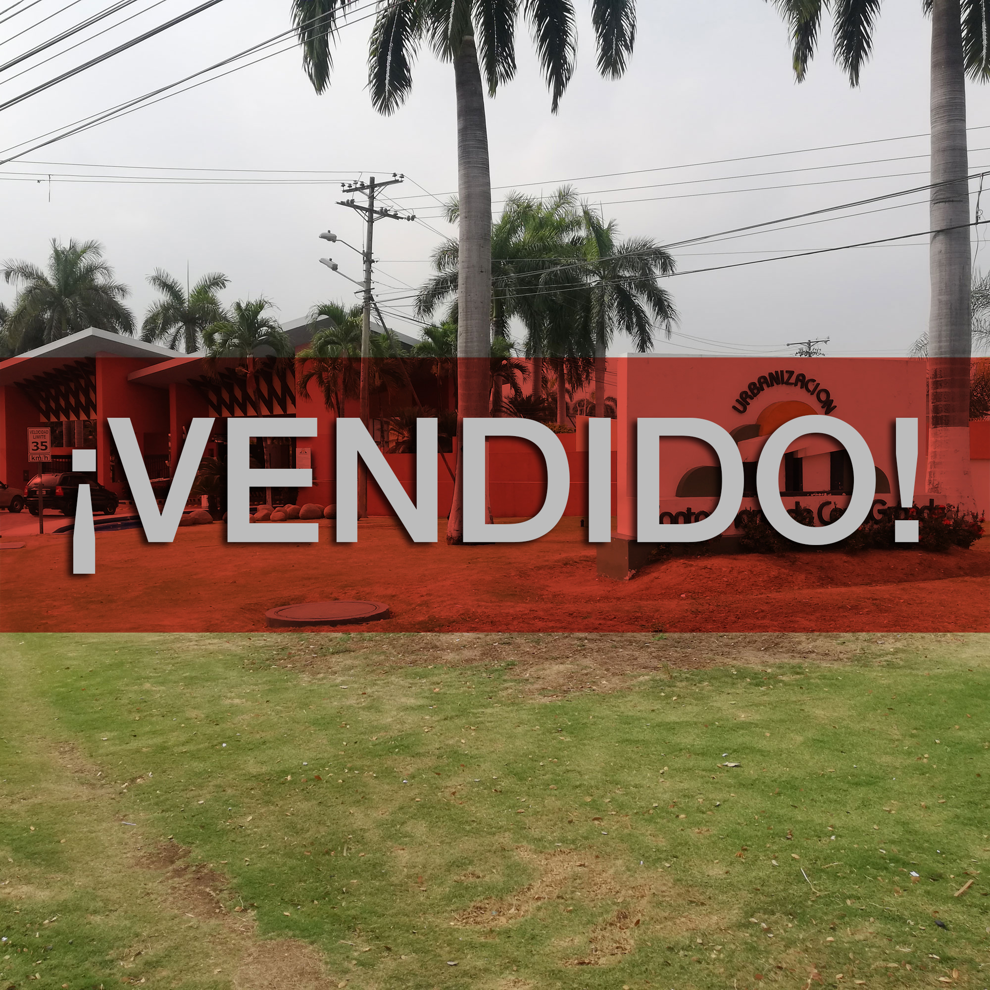 Concluido