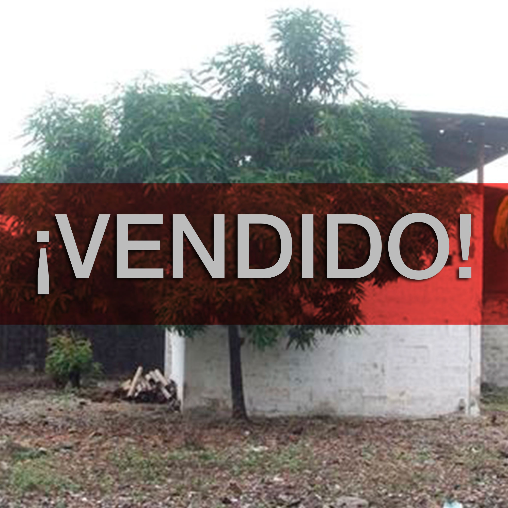 Concluido