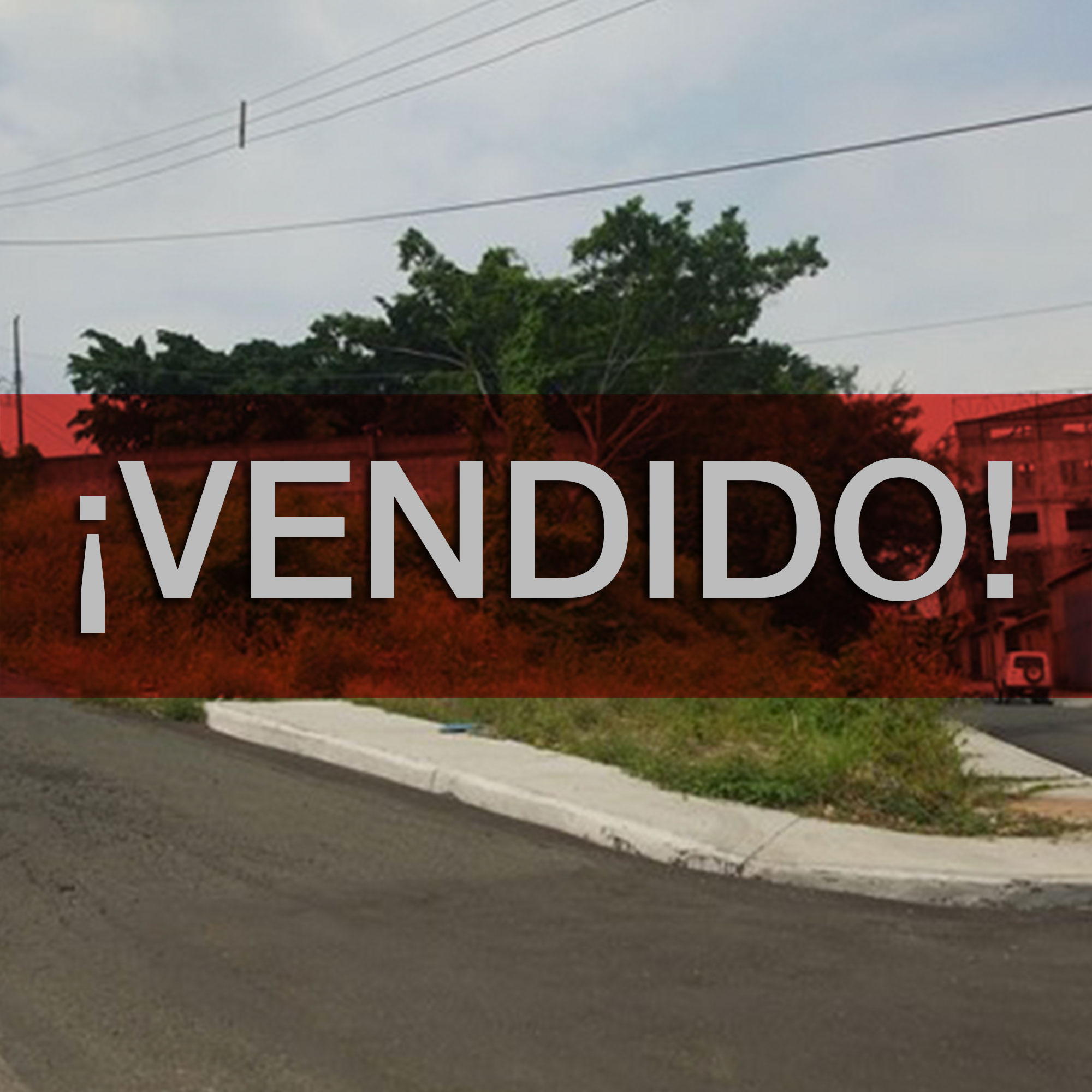 Concluido