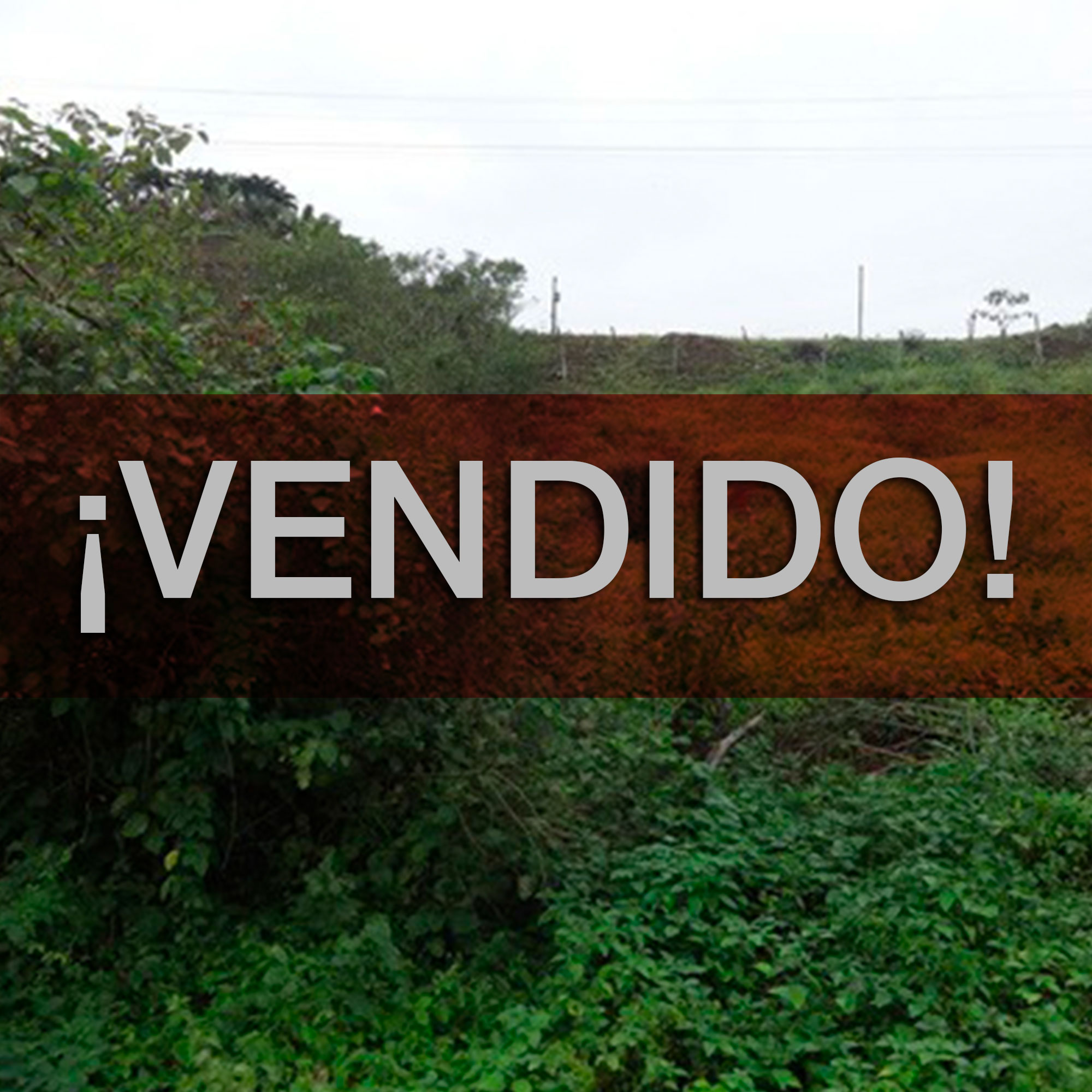 Concluido