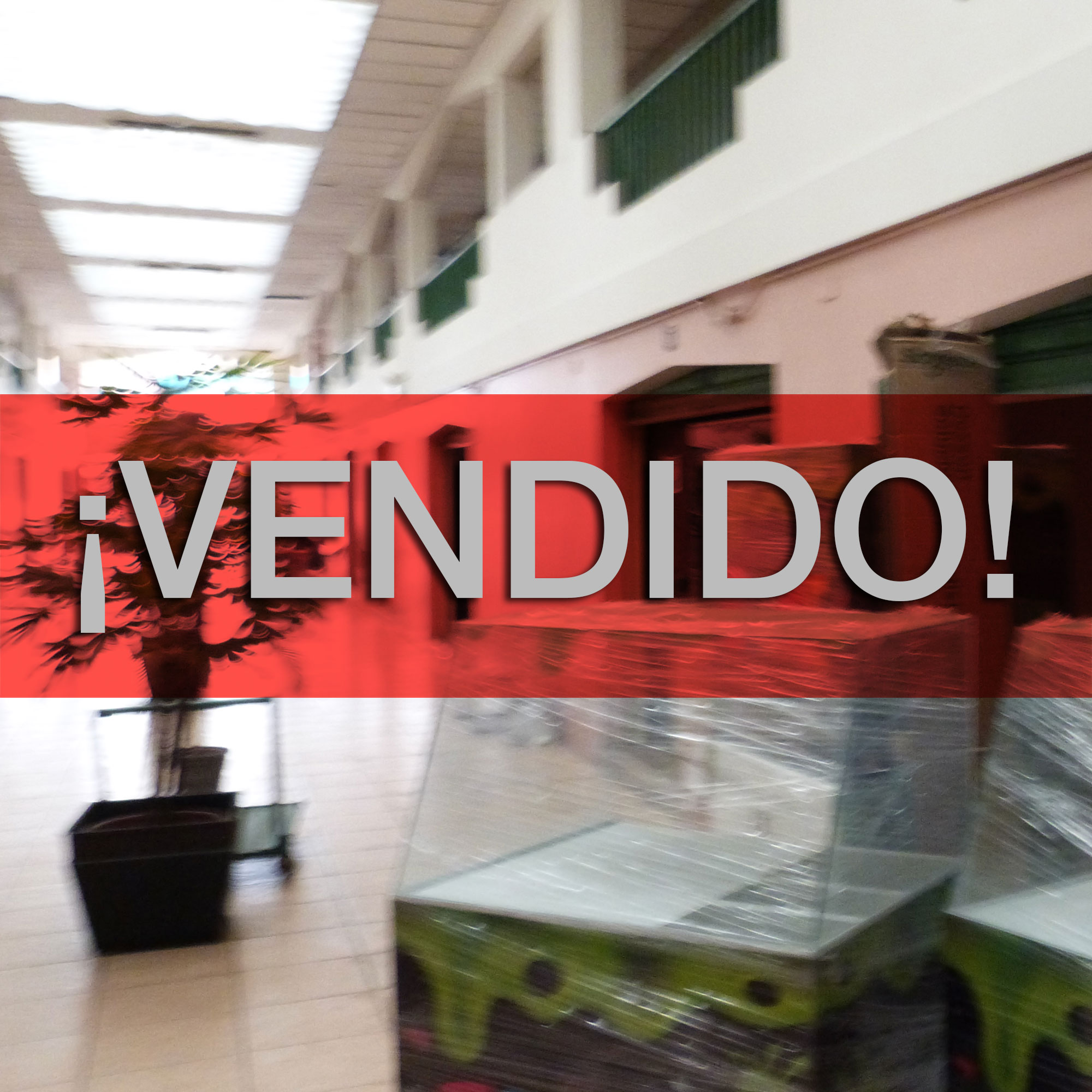 Concluido
