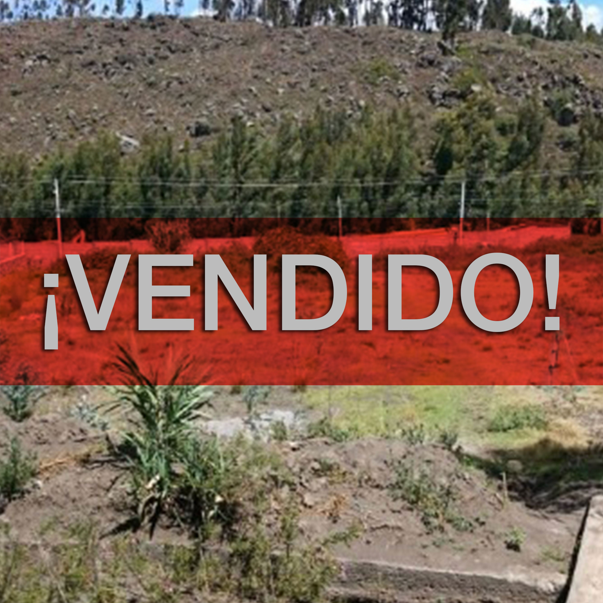 Concluido