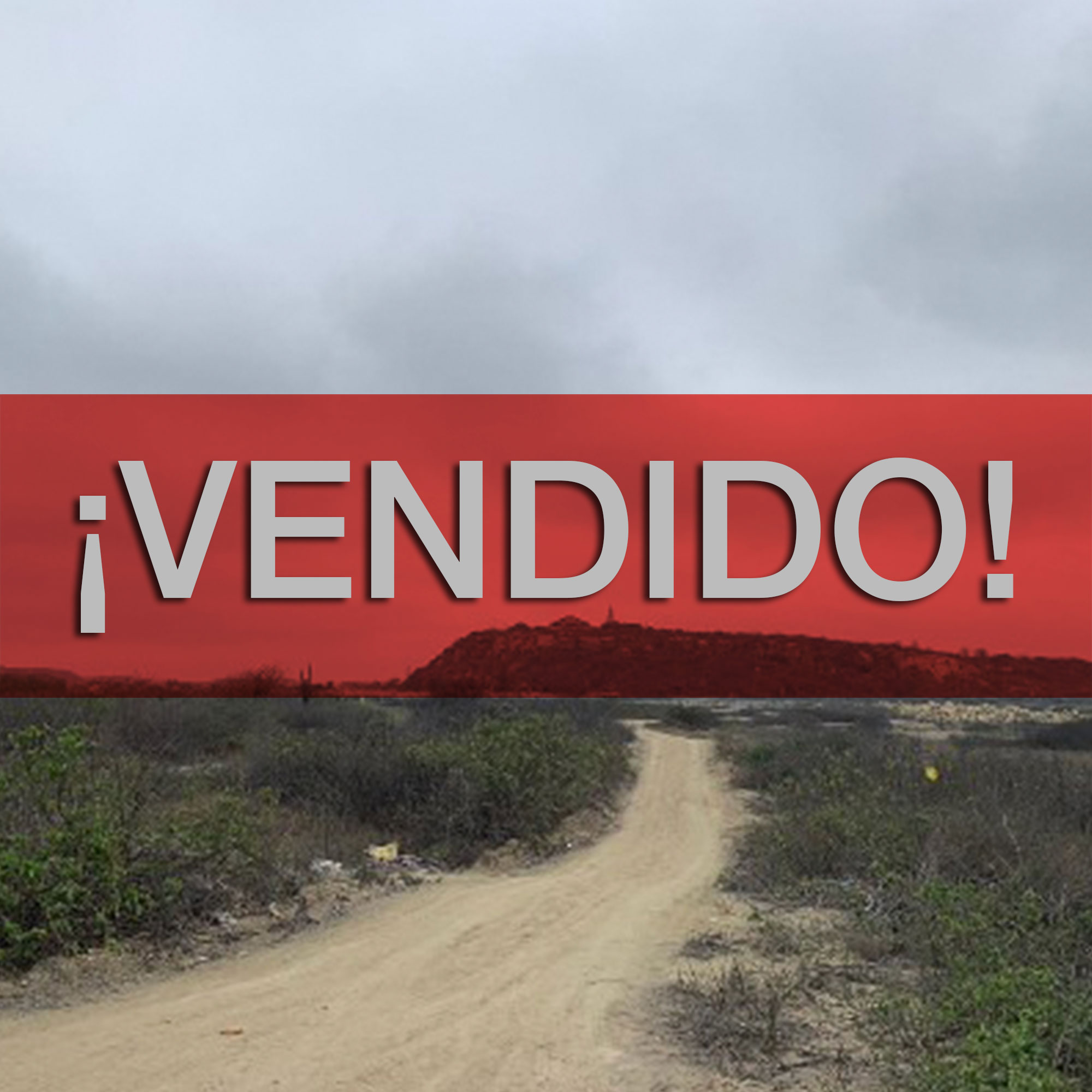 Concluido