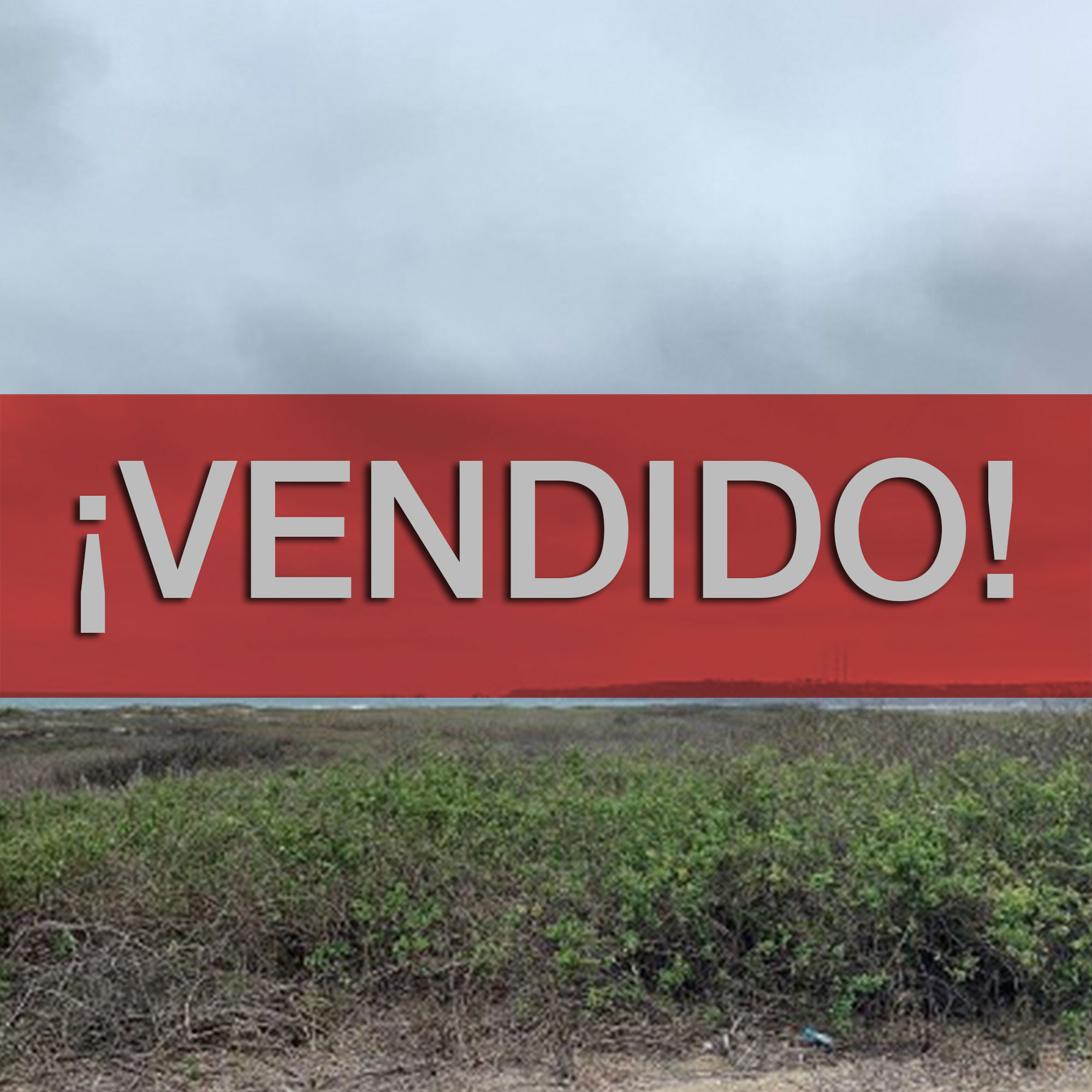 Concluido