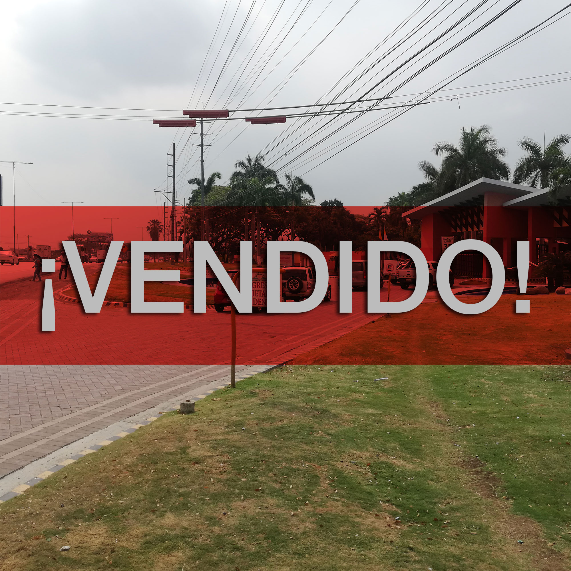 Concluido