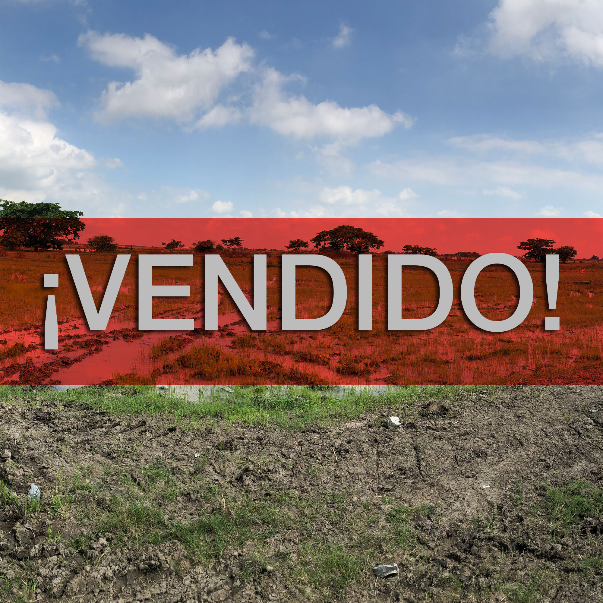 Concluido