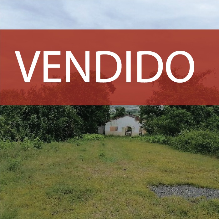 Concluido