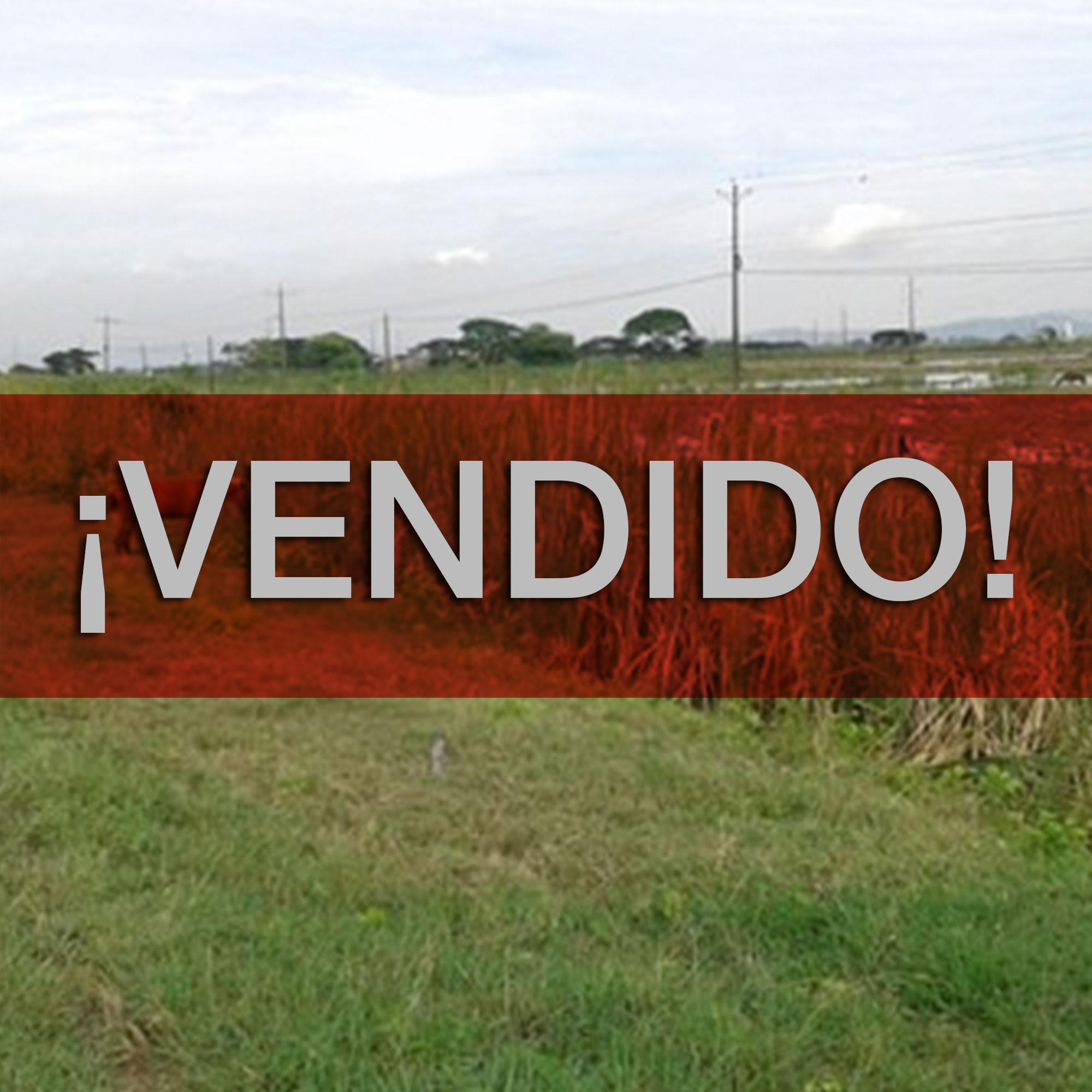 Concluido