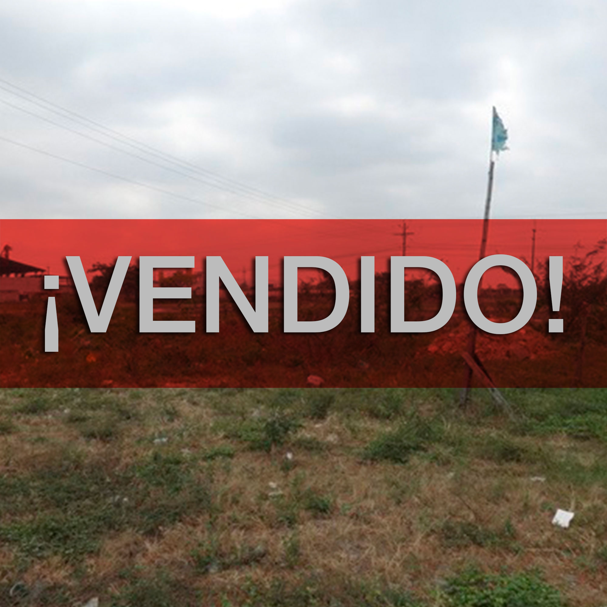 Concluido