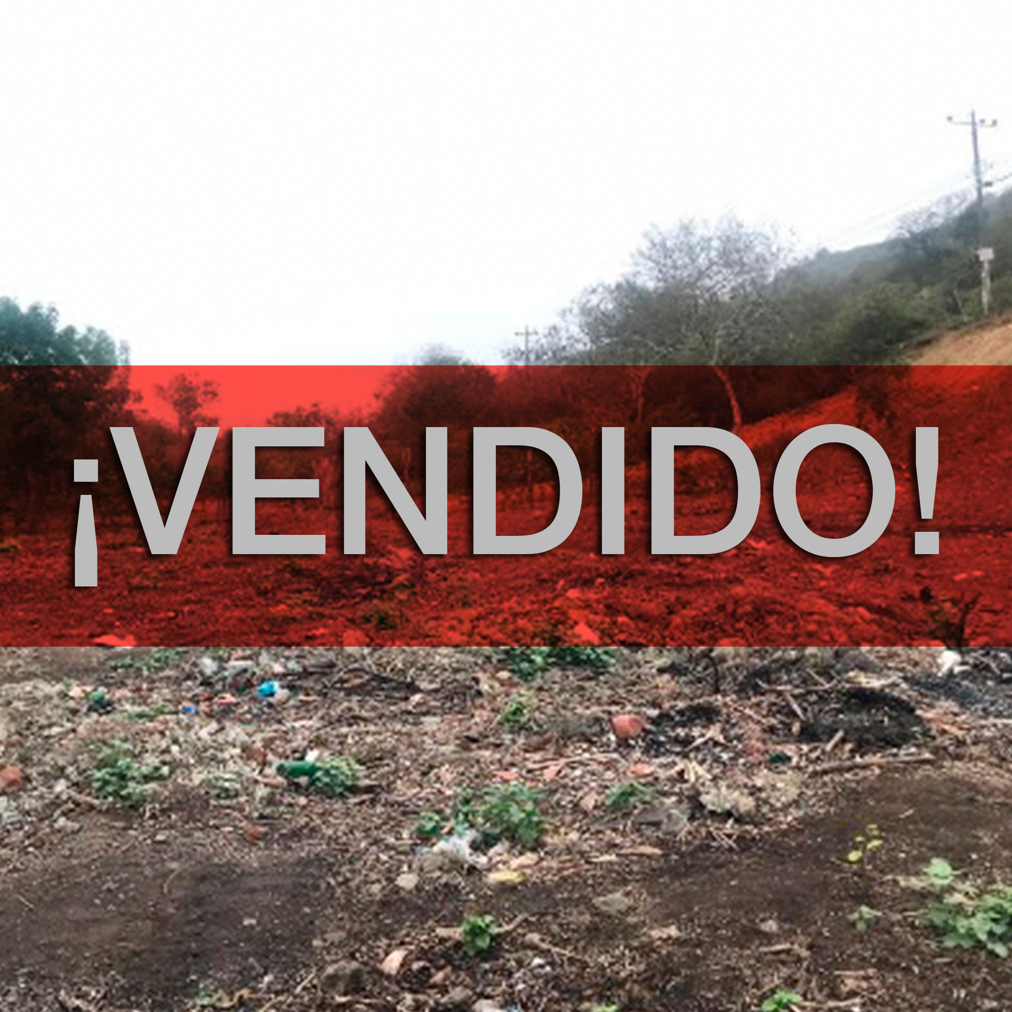 Concluido