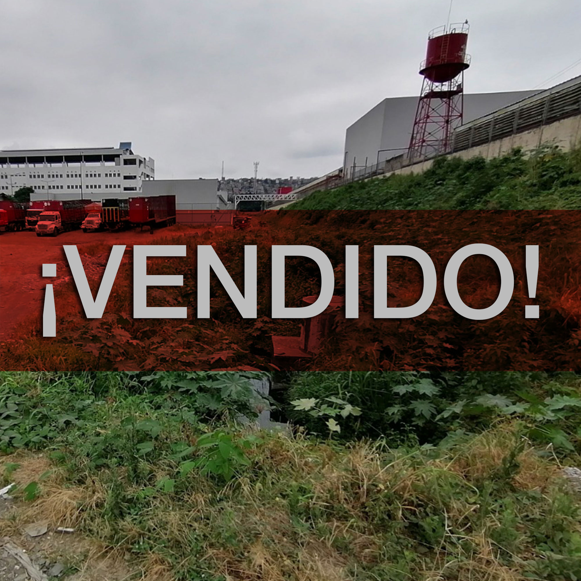 Concluido