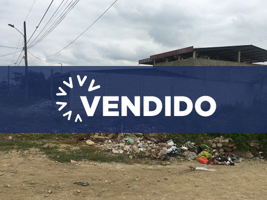 Concluido