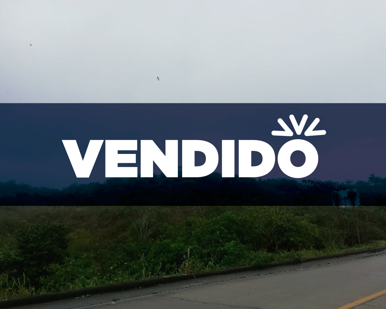 Concluido