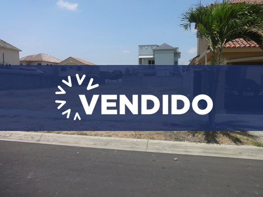 Concluido