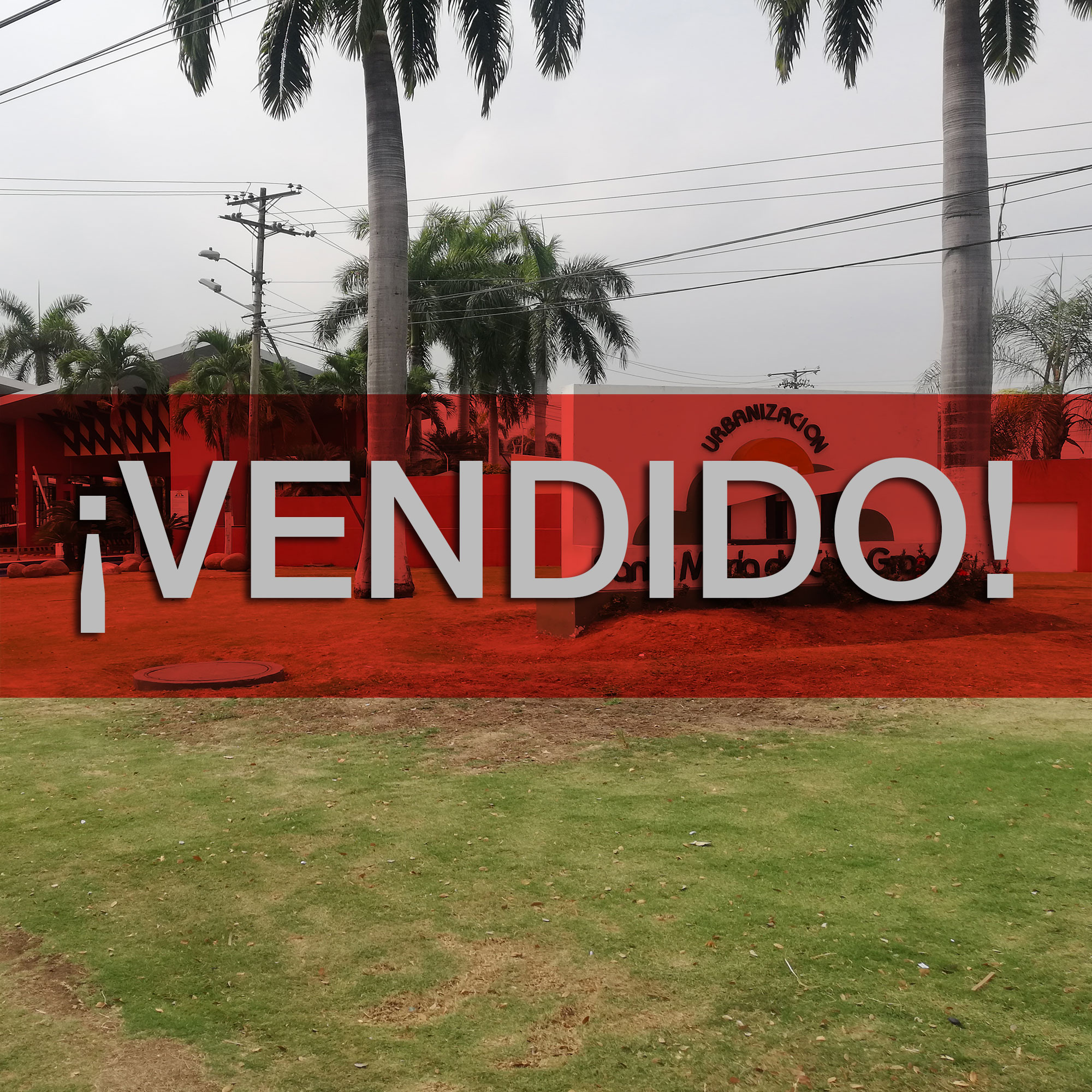 Concluido
